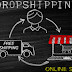 Master the Skill of Dropshipping: A Beginner's Guide to Establishing a Profitable Shopify Store