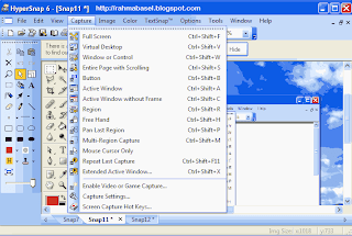 Download Hypersnap full | Software Capture image