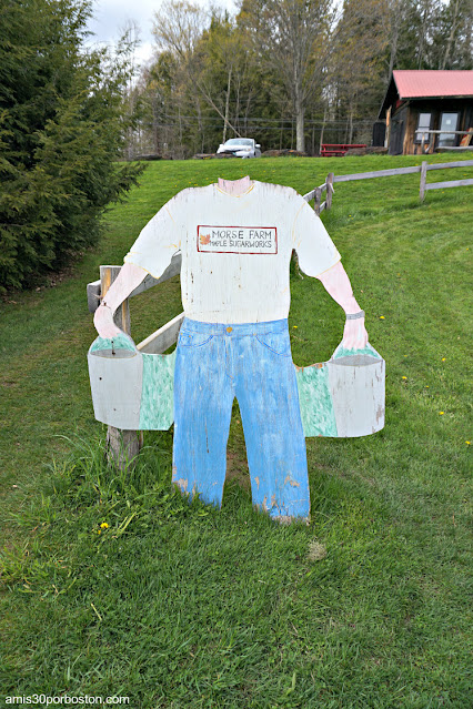 Photocall en Morse Farm, Vermont