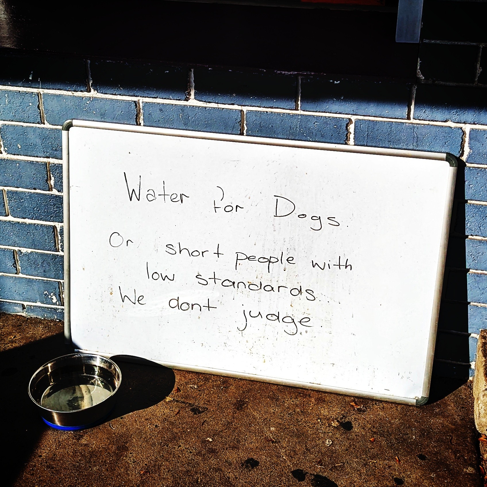 Sign leaning on an Aussie corner shop next to a dog's water bowl, "Water For Dogs, or short people with low standards, we don't judge"