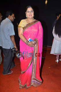 Gujarati Film and TV Awards 2012 Photos