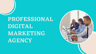 a professional digital marketing agency