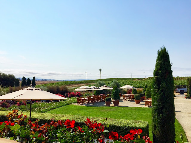 Bouchaine Vineyards, Carneros