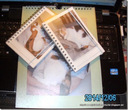 PICT1600