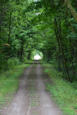 Bruce Trail in Beaver Valley Ontario Canada.