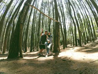 romantis di hutan pinus mangunan jogja