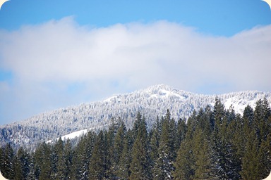 DSC_0971