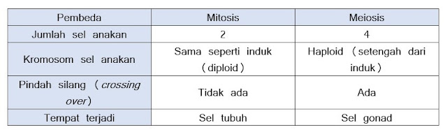 Perbedaan Mitosis dan Meiosis