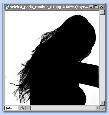 tutorial photoshop untuk membuat seleksi dengan channel dan layer mask, gambar 4