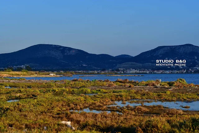 Υδροβιότοπος