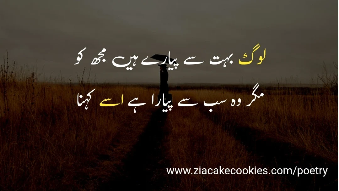 heart touching sad poetry in urdu