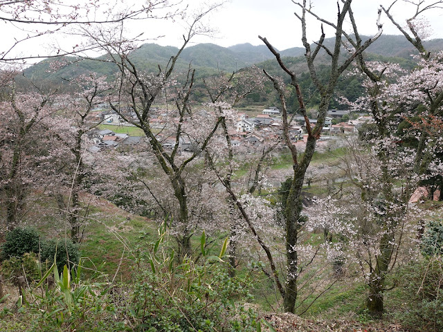 鳥取県西伯郡南部町鴨部　法勝寺城跡