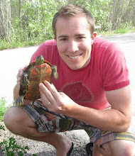 I'm a Turtle Catcher