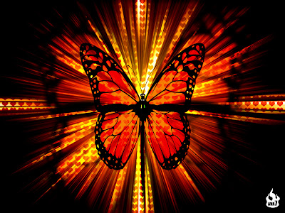 butterflies wallpapers. utterfly wallpapers.