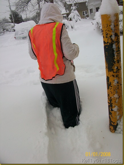 Picture 041