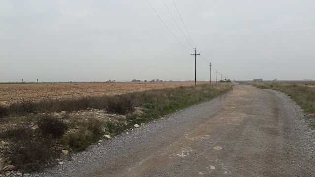 Camí de Sant Jaume de Compostela, etapa entre Fraga (Osca) i Candasnos (Osca), camí paral·lel a la carretera N-II Camino Cañada Real de Aragón