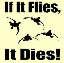Silhouette of four birds and the words If It Flies, It Dies!