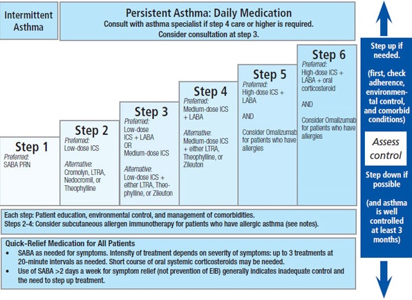 Asthma Treatment Guidelines