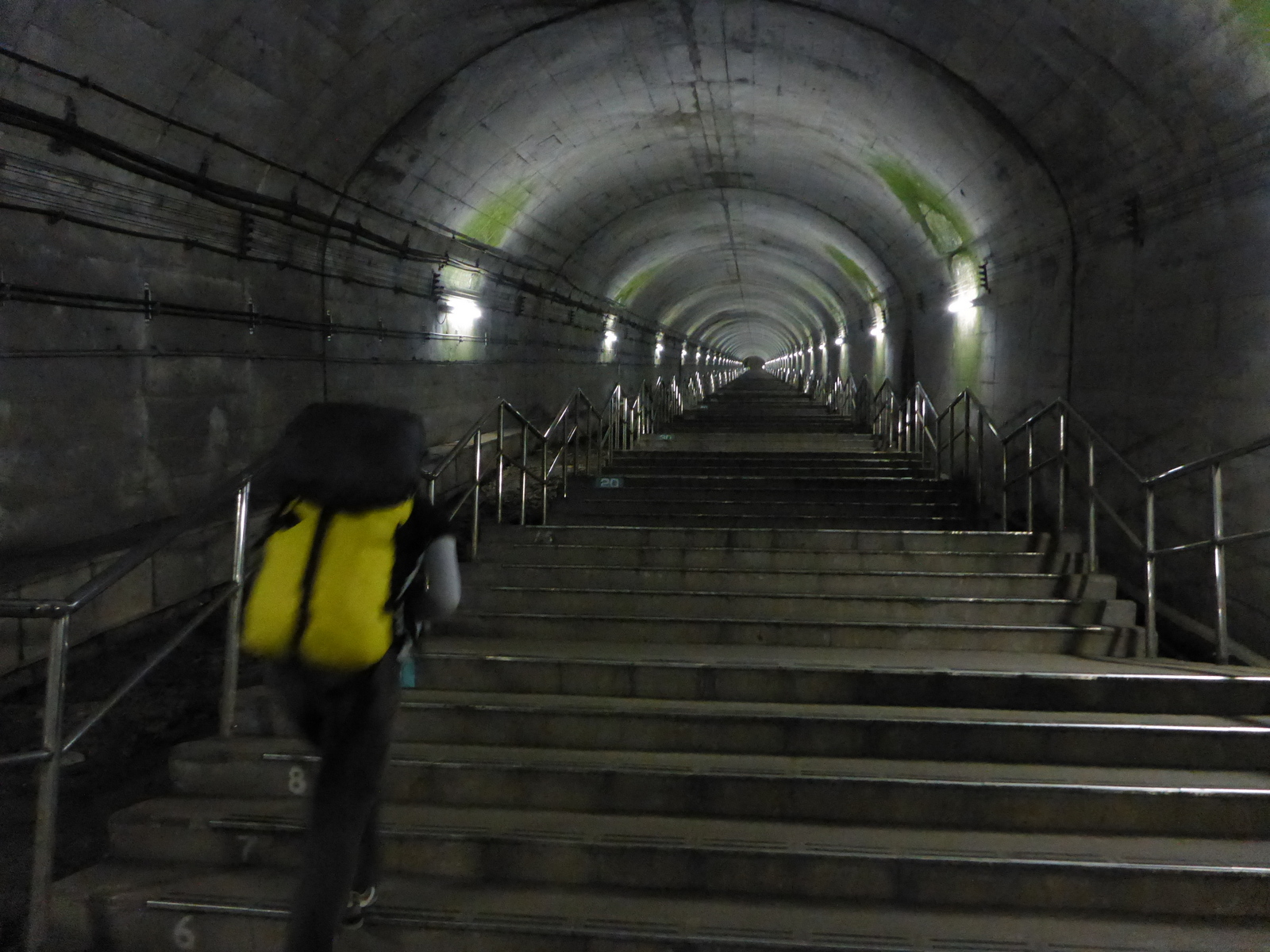 山と兎 土合駅から谷川岳登山指導センターへ