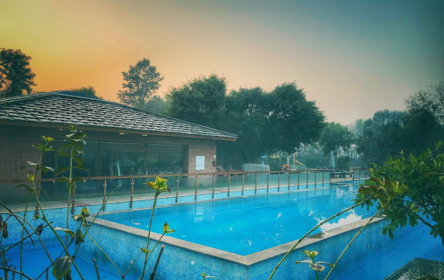 The photograph above shows Gym & the swimming pool at The Westin Resorts & Spa in Sohna.      Related Blogpost - A visit to Four Season Vineyard in Baramati during Harvest Season (Maharashtra, India)