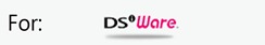 For DSiWare