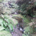 View album