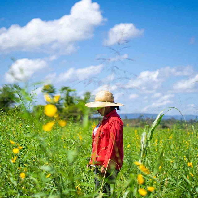 Nosso planeta está enfrentando uma crise sem precedentes relacionada às mudanças climáticas e à perda de biodiversidade, que tem ameaçado a saúde dos nossos ecossistemas, comunidades e modos de vida.