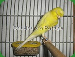 com Topete