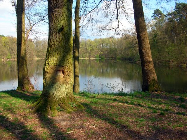 Zacisze, koło Chwalimia