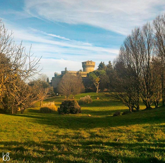 volterra