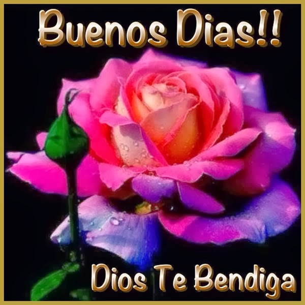 Flores de Buenos Dias - Dios te Bendiga