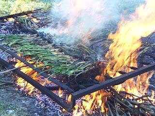 http://misqueridoscuadernos.blogspot.com.es/2011/03/calcotada-y-tradiciones.html