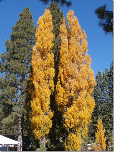 P1011340
