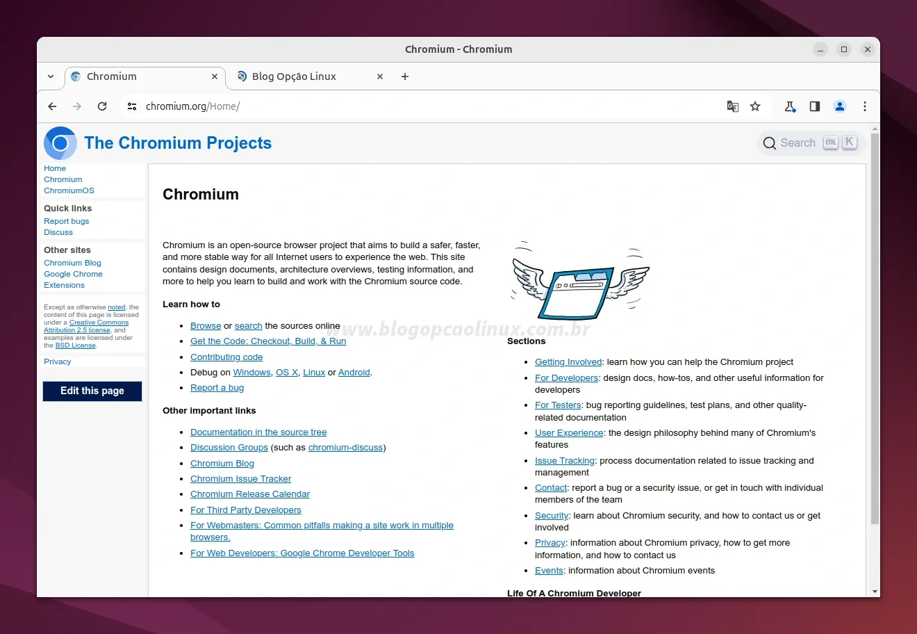 Chromium executando no Ubuntu 24.04 LTS (Noble Numbat)