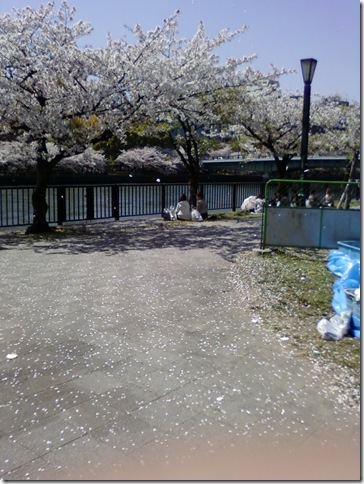 Photo-0014 (3)
