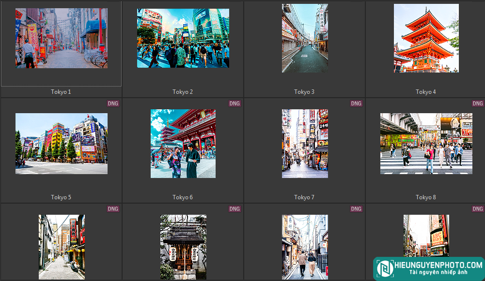 15 Preset Lightroom Tokyo