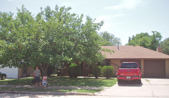 front yard before