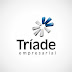 TRÍADE EMPRESARIAL - logo e papelaria