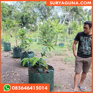 planter bag dari suryaguna 085646415014