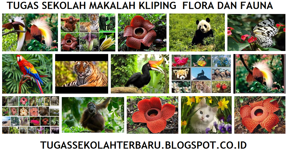 Tugas Sekolah Makalah Kliping Flora dan  Fauna Tugas Sekolah