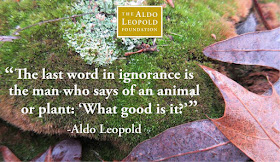 “The last word in ignorance is the man who says of an animal or plant, "What good is it?"