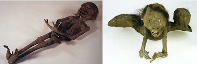 Слева: мумия каппы в храме Дзуйрюдзи, Осака. Справа: мумия Каппы в Национальном музее этнологии