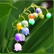 MENTIRA 8 Bonsai-lily-of-the-valley-new-arrival-lily-flowers-6-3-1-pcs.jpg_220x220