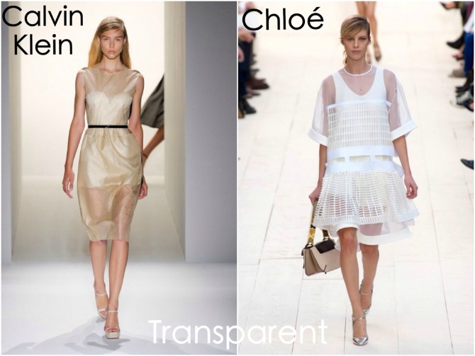 transparent dress