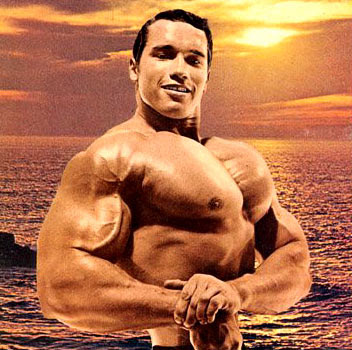 arnold schwarzenegger bodybuilding wallpaper. arnold schwarzenegger