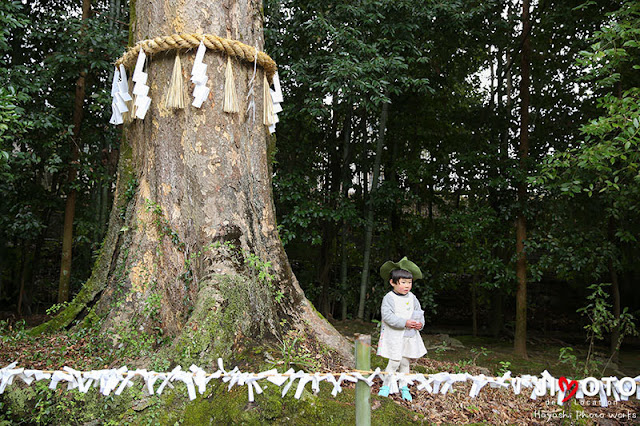 宇治上神社でのお宮参り出張撮影