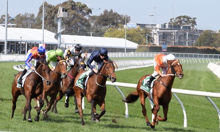race 4_finish 4