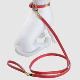 Dsquared Dog Capsule Collection Yoox