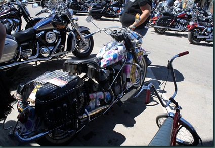 Sturgis 153