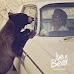 Be a Bear (Filippo Zironi), "Be a Bear" è il 1° disco realizzato interamente con un iPhone